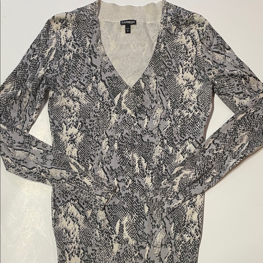 Express Snake Print V-Neck Sweater Women’s Lightweight Knit Animal Print Sz S